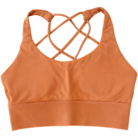 Women's Brown Criss-Cross Back Sports Bra